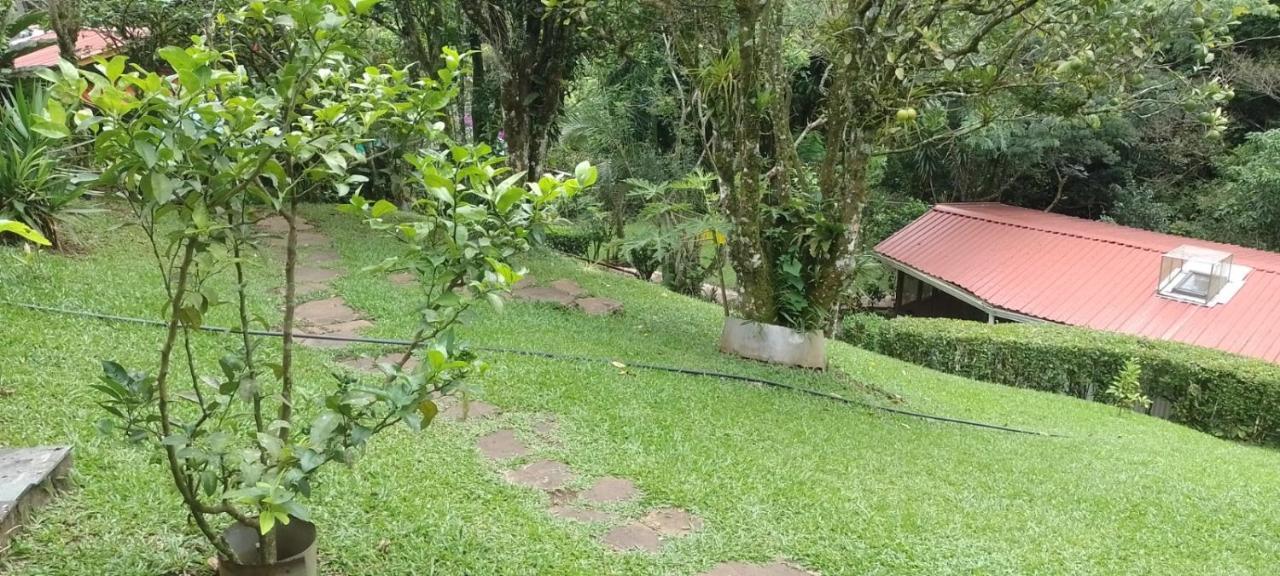 Pochote Lodge Guayabo  Exterior photo